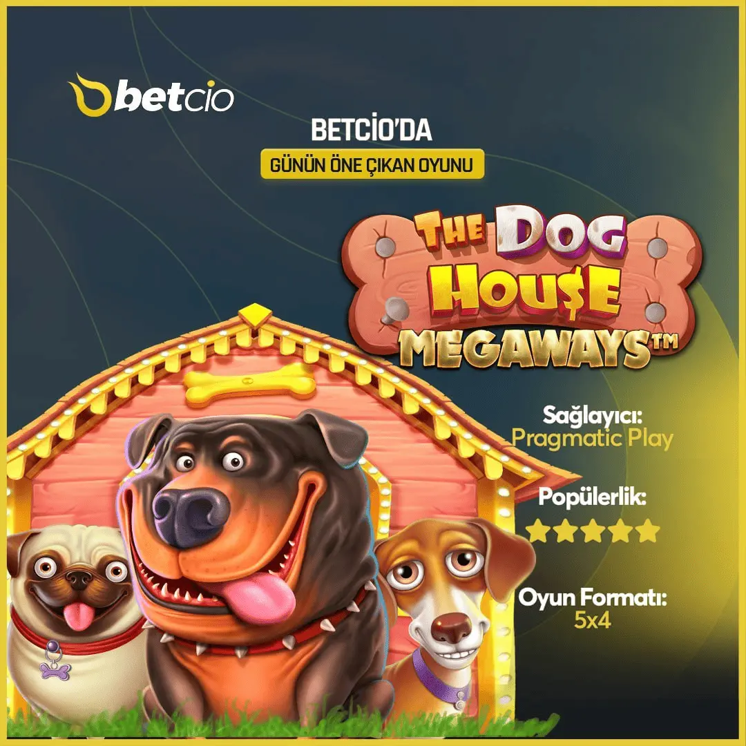 Betcio Hub Analiz Paneli